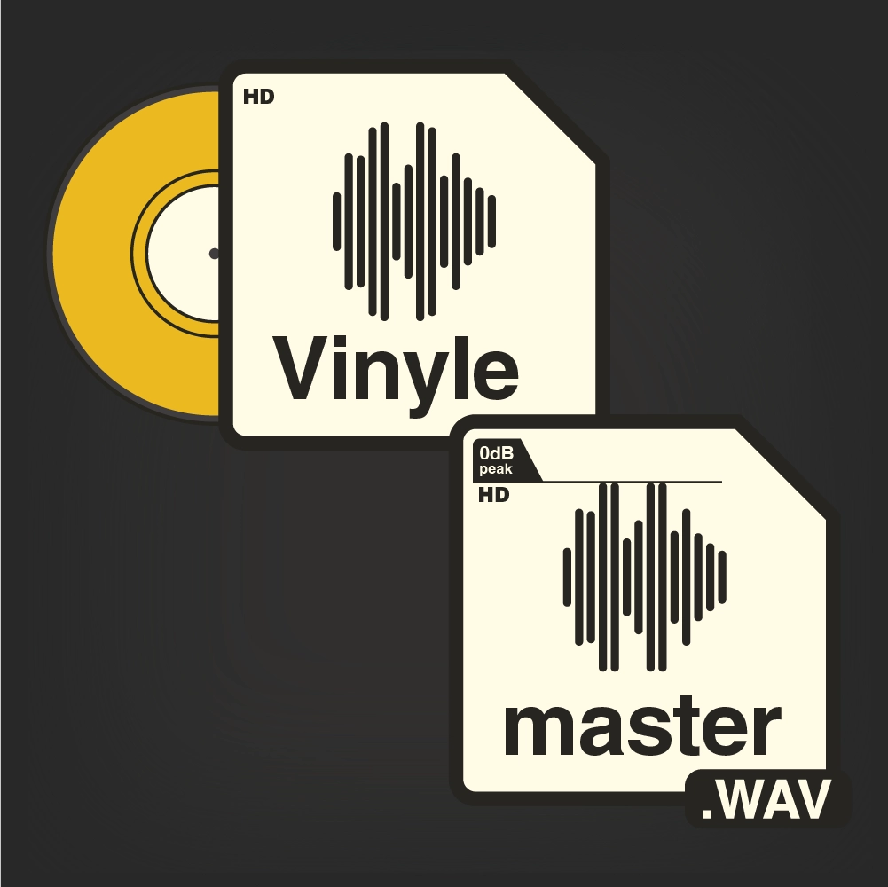 PIctogramme Mastering Vinyle + master